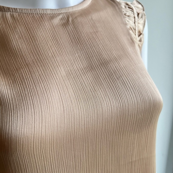 IRIS | Champagne Ruffle Sleeve Textured Sleeveless Blouse - Picture 5 of 7